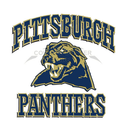 Homemade Pittsburgh Panthers Iron-on Transfers (Wall Stickers)NO.5900